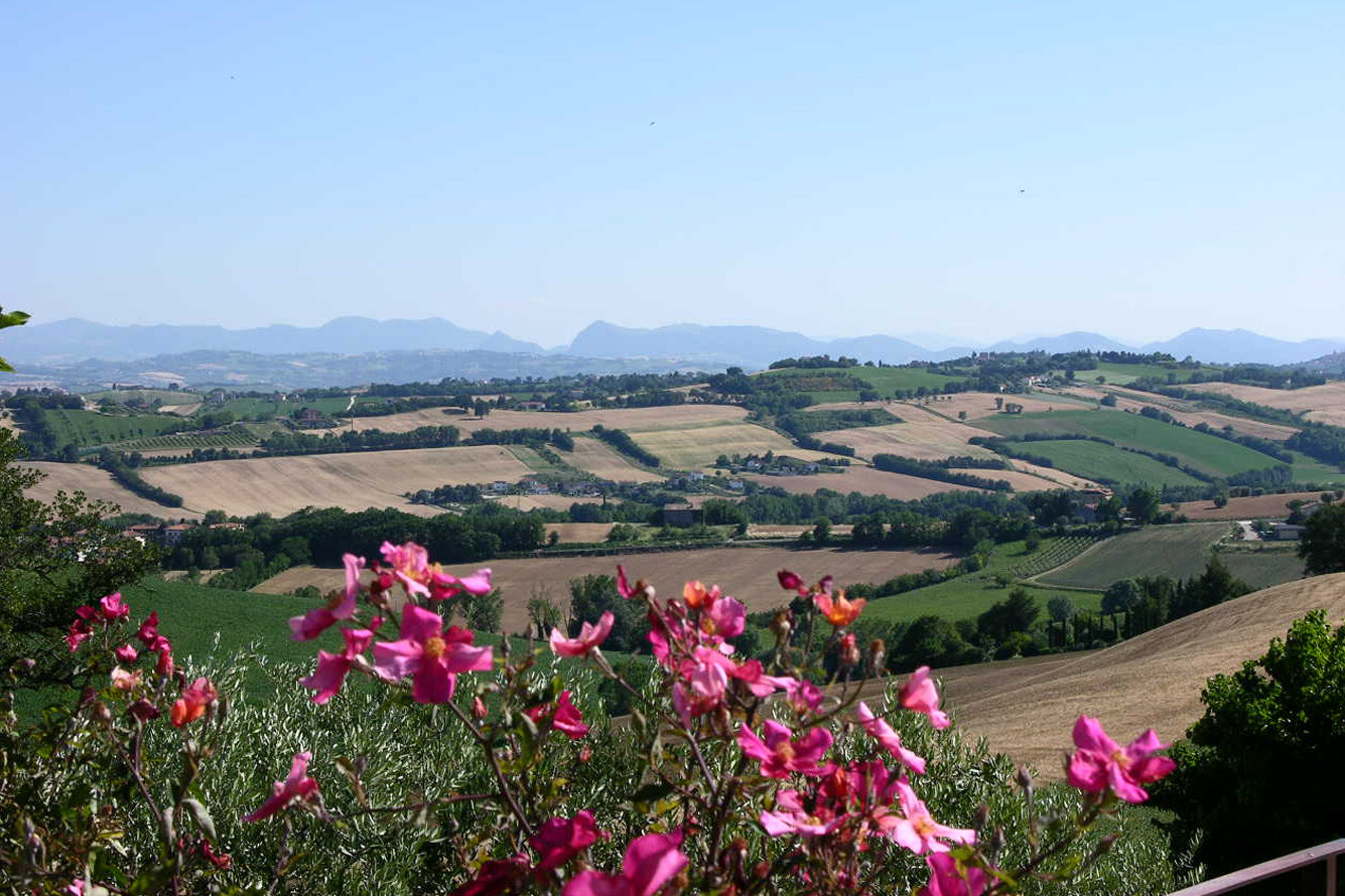 media.SOLEA-gallery-1