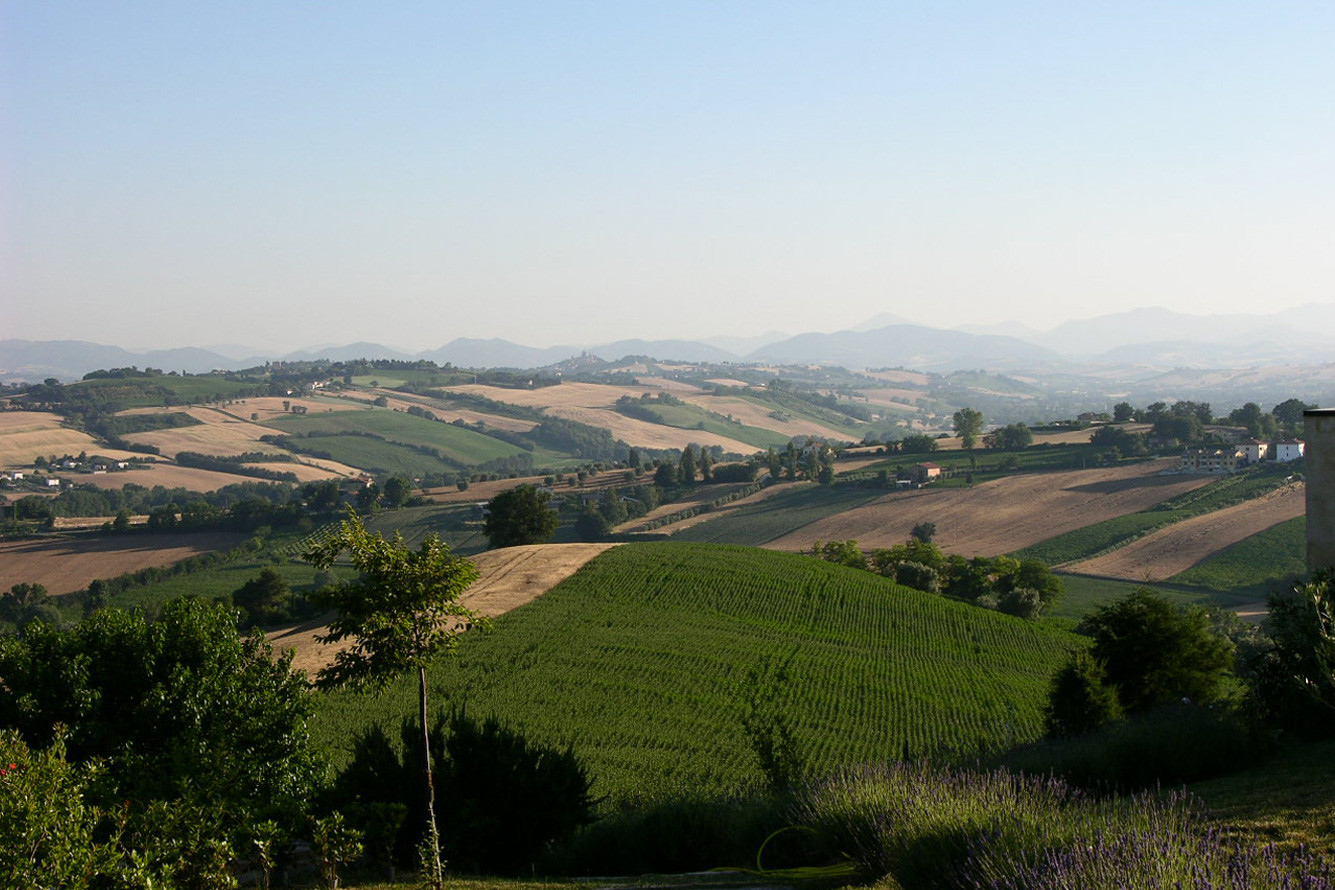 media.SOLEA-gallery-4