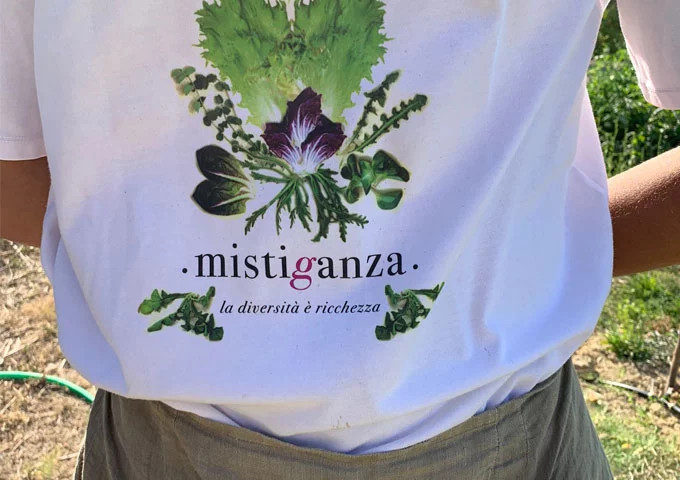 media.prodotti6