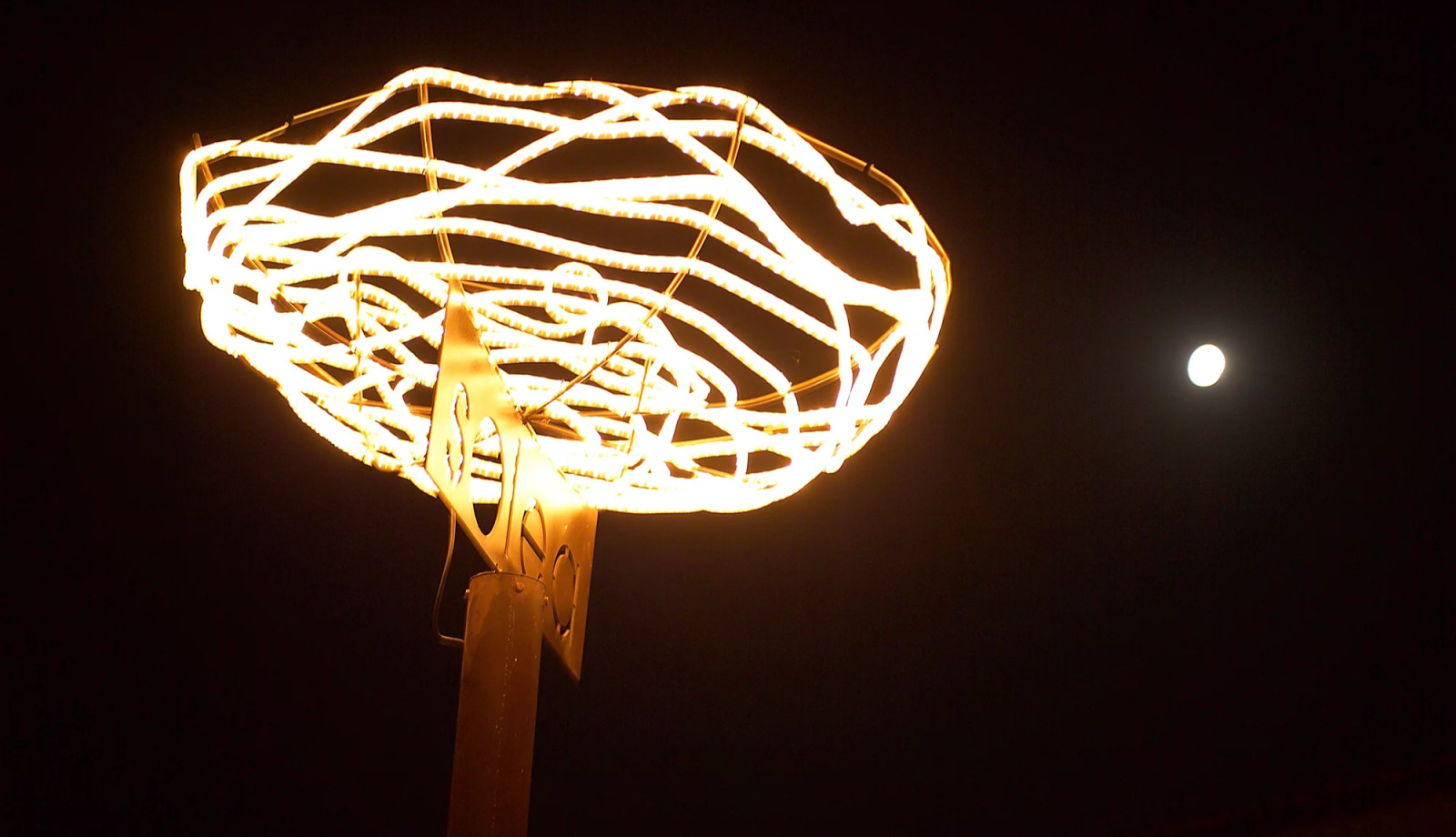 media.insegna notturna 2