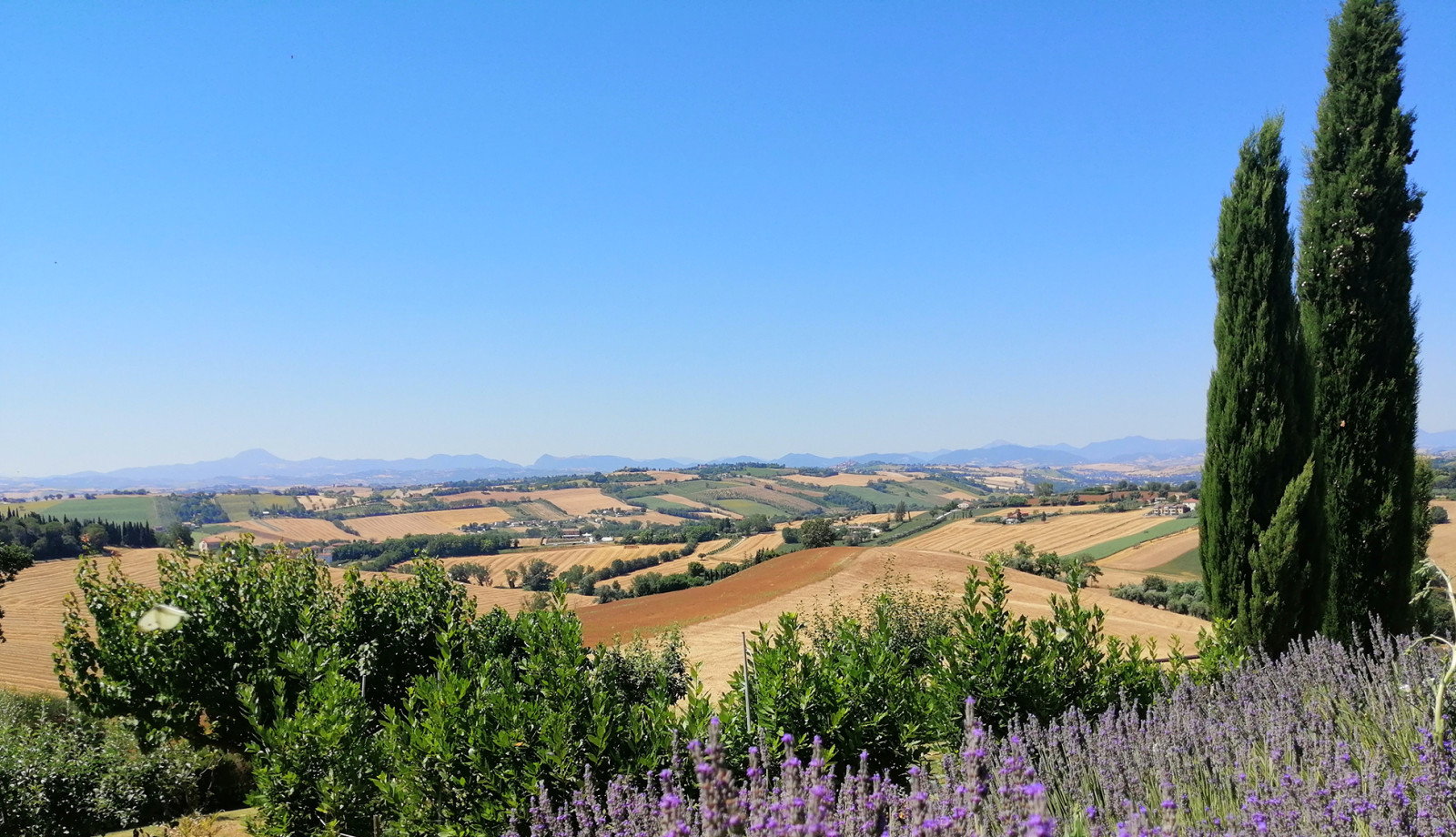 media.panorama vesro sud