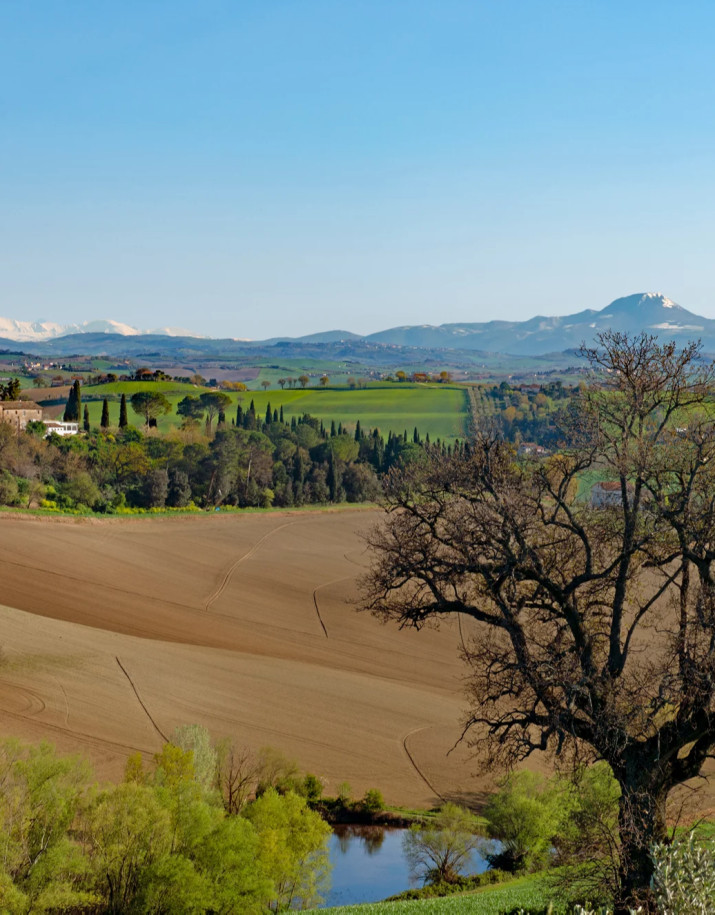 media.SOLEA-panorama