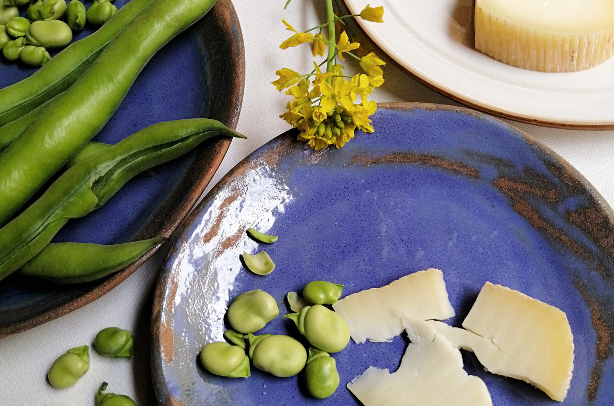 media.SOLEA-fave-formaggio